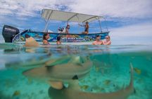 Full Day Bora Experience - Snorkeling Excursion & ATV Adventure