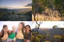 Intimate Blue Mountains Wild Kangaroos & Sunset for Nature Lovers