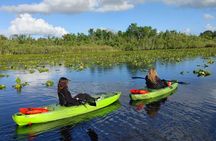 Guided Kayaking Manatee Tour near Orlando