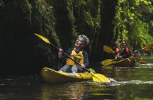 Daytime Canyon Kayak Tour