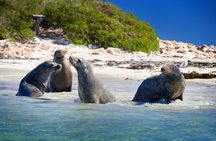 Margaret River Day Tour With Wildlife Cruise & Wine Tasting