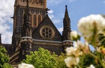 Full-day Melbourne City Sightseeing with Penguin Parade