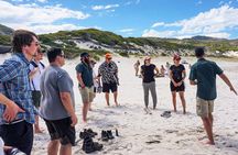 Wilson's Promontory Small Group Eco Tour from Melbourne