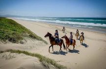 Beach Horse Ride - Hotel Pickup & drop-off included. CAPE TOWN