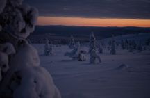 Ivalo: Wilderness Adventure by Snowmobile Sleigh