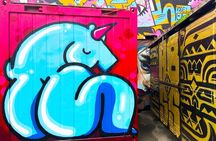 2.5 Hour Private Street Art Walking Tour, local Dutch guide
