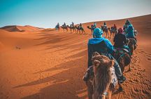 Dubai Desert Safari Camel Ride Sand Boarding BBQ Dinner