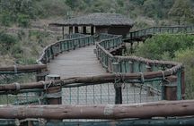 Safari Walk Tour with Animal Orphanage in Nairobi