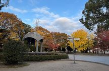 2 Hour Private Morning Tour Highlights in Peace Memorial Park