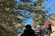 Two Days in the High Atlas with Adventure, Valleys and Traditions