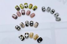 Discover the Panda Nail Salon Experience Chengdu Only