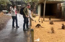 Blue Mountains Private Tour (Featherdale & Scenic World optional)
