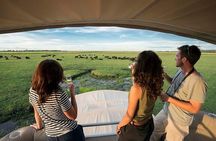 Chobe Day Trip From Victoria Falls Zimbabwe