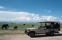 Chobe Day Trip From Victoria Falls Zimbabwe
