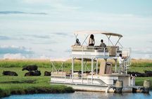 Chobe Day Trip From Victoria Falls Zimbabwe
