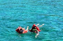 Nassau: Pig Island and Snorkeling Experience 