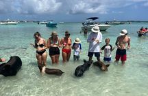 Nassau: Pig Island and Snorkeling Experience 