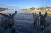 Exclusive Grand Turk Island Tour