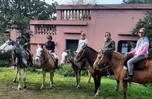 Horseback Riding Experience in Carlos Keen with Transfers