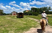 Horseback Riding Experience in Carlos Keen with Transfers