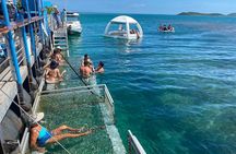 Ponton Day Trip SWIM with Turtles All meals included & Transport