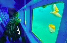 Ponton Day Trip SWIM with Turtles All meals included & Transport