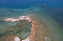Ponton Day Trip SWIM with Turtles All meals included & Transport