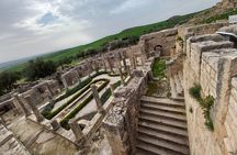 Dougga and Bulla Regia Guided Tour From Tunis