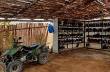Atlas Mountains and Agafay Desert Tour with Quad and Camel Rides