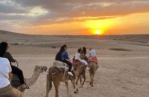 Atlas Mountains and Agafay Desert Tour with Quad and Camel Rides