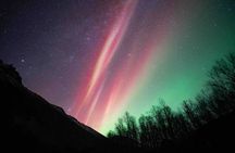 Northern Lights Tour with small group of 8 people