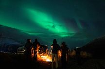 Northern Lights Tour with small group of 8 people