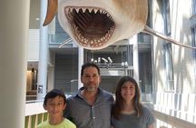 Family Friendly Smithsonian Natural History Museum Private Tour
