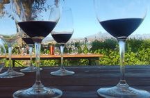 Taste Franschhoek Journey 