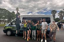 Auckland City Scenic Tour with Wine Tasting + Lunch 