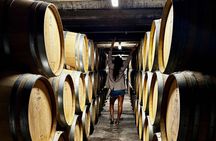 Auckland City Scenic Tour with Wine Tasting + Lunch 
