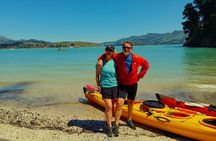 Sea Kayaking Christchurch, Lyttelton Harbour & Quail Island