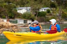 Sea Kayaking Christchurch, Lyttelton Harbour & Quail Island