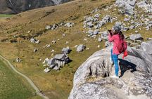 Arthur's Pass & Castle Hill - Scenic Day Tour from Christchurch