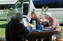 Arthur's Pass with optional TranzAlpine Train (Small Group Tour)