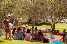 Waiheke Island Wine Tour with Tastings & Gourmet Beachfront Lunch