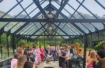 Waiheke Island Wine Tour with Tastings & Gourmet Beachfront Lunch