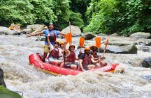 Bali White Water Rafting with Easiest Access - No Steep Up