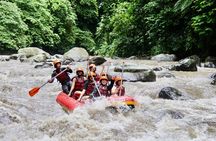 Bali White Water Rafting with Easiest Access - No Steep Up