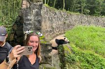  Dujingyan Panda tour option Giant panda or Red Panda Keeper 