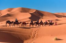 Shared 3 Days Fez to Marrakech Desert Tour