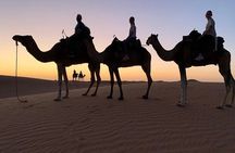Shared 3 Days Fez to Marrakech Desert Tour