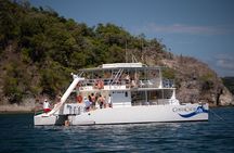 Marine Life Watch and Sunset Cruise with Costa Cat 