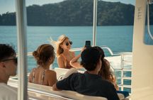 Marine Life Watch and Sunset Cruise with Costa Cat 