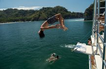 Marine Life Watch and Sunset Cruise with Costa Cat 